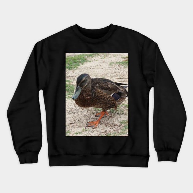 The Duck Walk! Crewneck Sweatshirt by Mickangelhere1